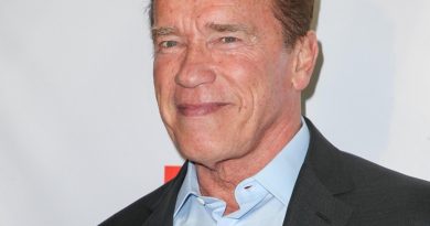 Arnold Schwarzenegger Is Involved In Multi-Car Crash
